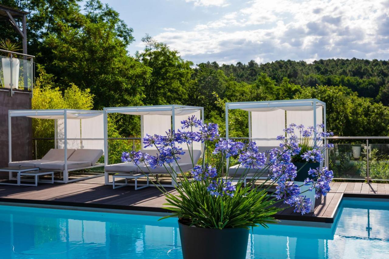 Domaine De Chalveches Hotel Spa 4* Faugeres  Exterior photo