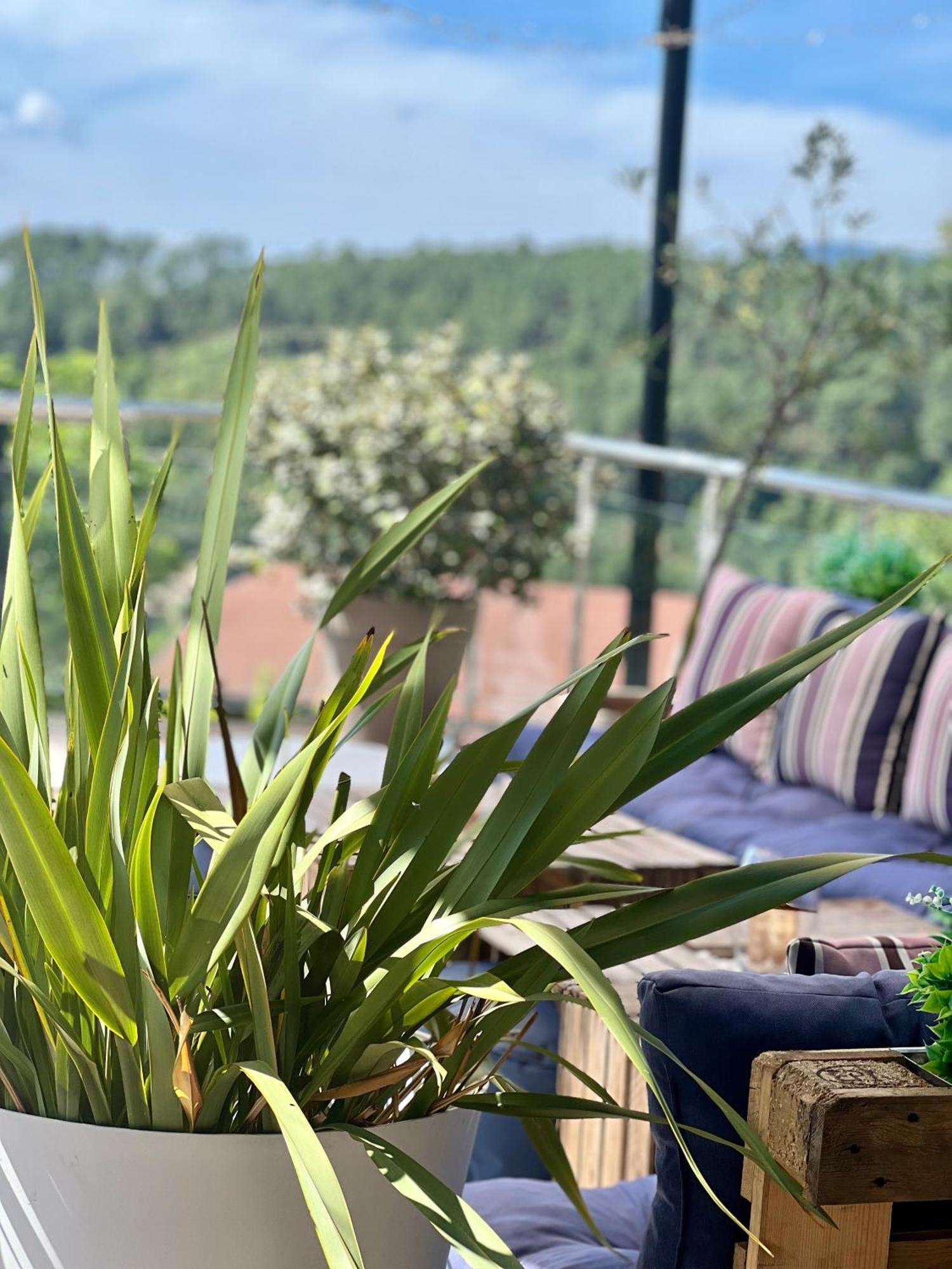 Domaine De Chalveches Hotel Spa 4* Faugeres  Exterior photo